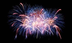 The Woo Product Big Dummy Day